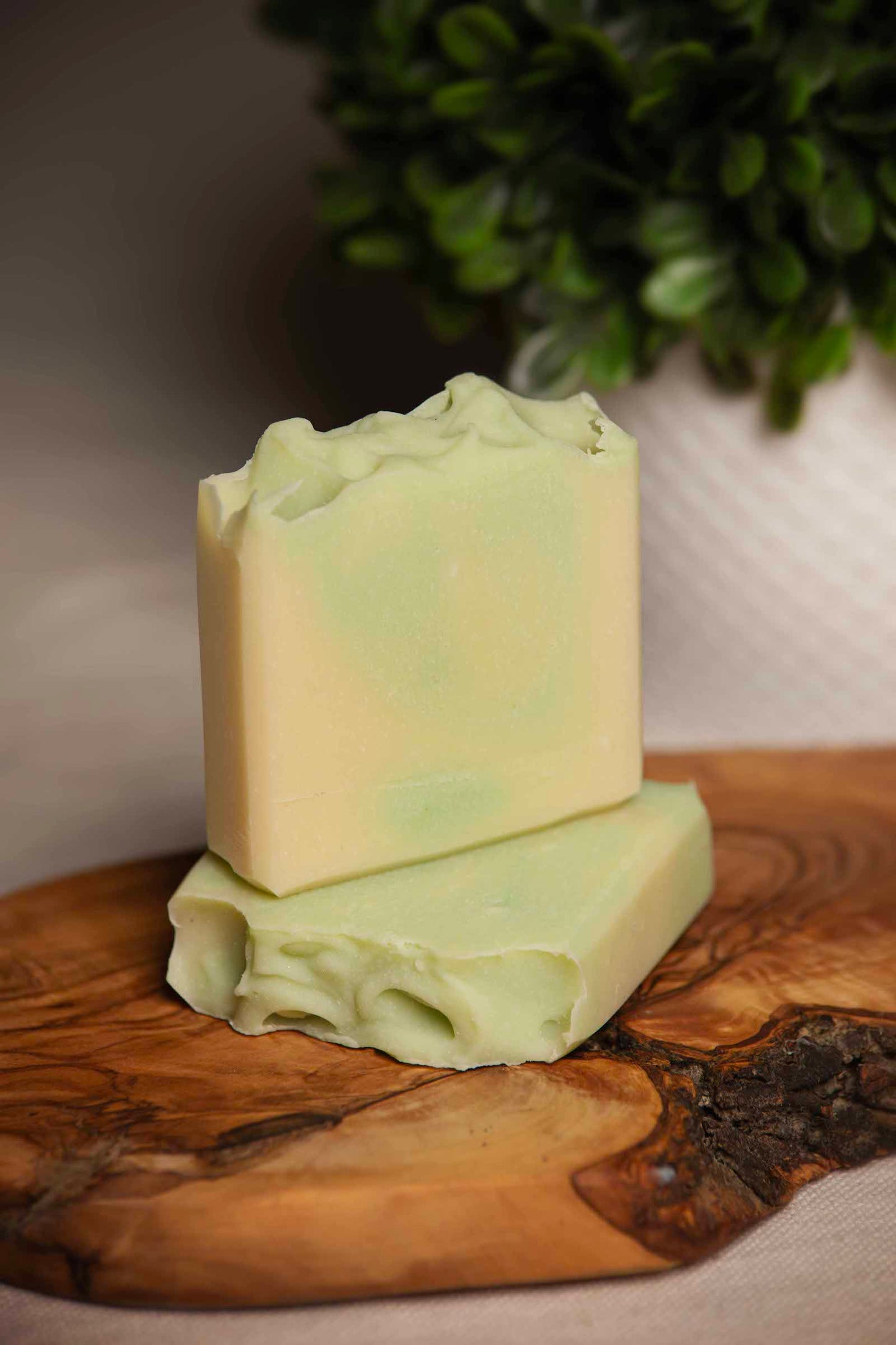 eucalyptus and peppermint cold processed soap front